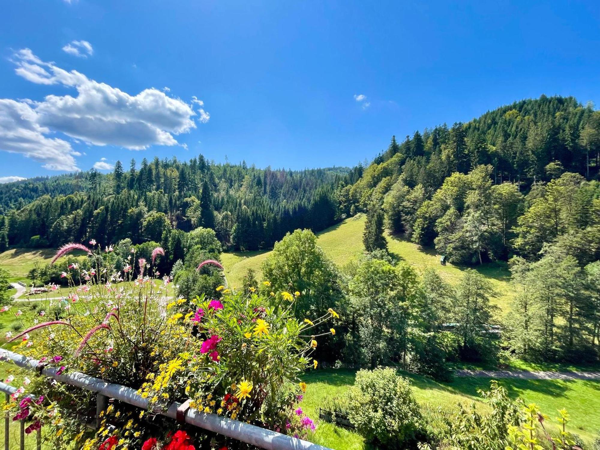 Wanderlutz Apartament Baiersbronn